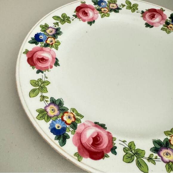Royal Staffordshire England Vintage Dinner Plate Floral Pattern Single 10in - Picture 2 of 5